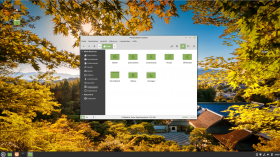 Linux Mint 20.1 Desktop